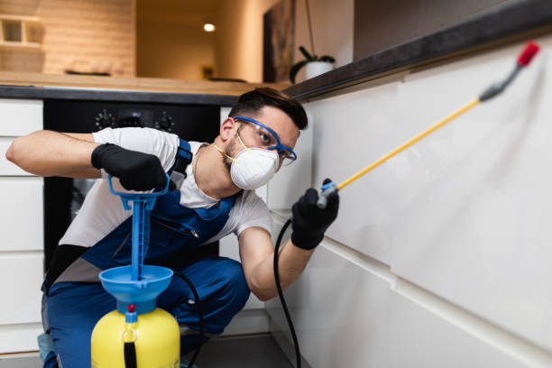 Best Pest Removal Services  in New Fairview, TX