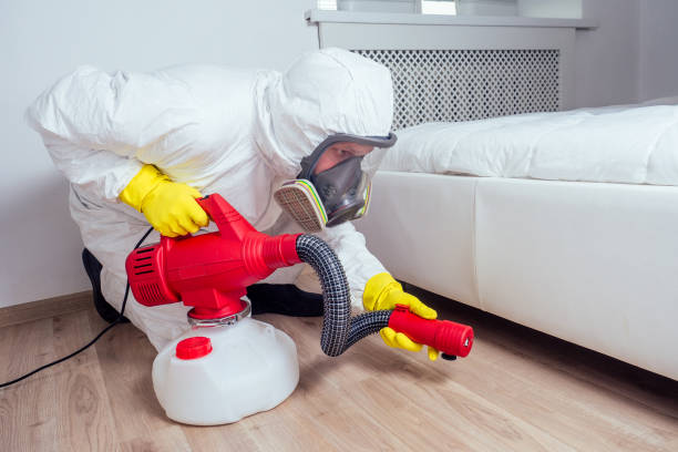 Best Residential Pest Control  in New Fairview, TX