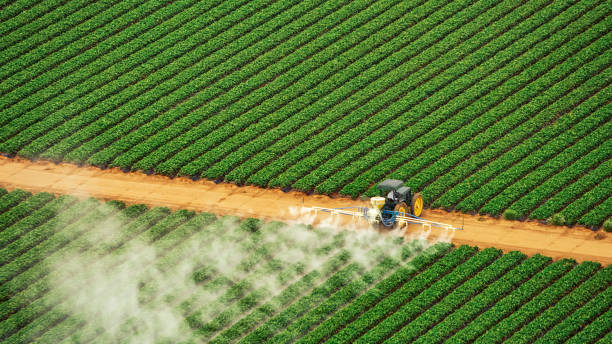Best Pest Inspection Near Me  in New Fairview, TX